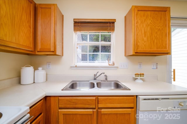 15042 Deshler Ct, Charlotte, NC 28273 - kitchen with dishwasher, a sink, and light countertops