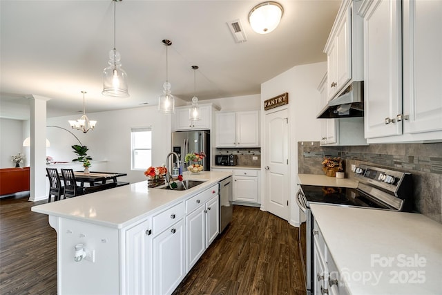 922 Bunker Trce, Rock Hill, SC 29730 - kitchen featuring stainless steel appliances, under cabinet range hood, a sink, decorative backsplash, and white cabinetry