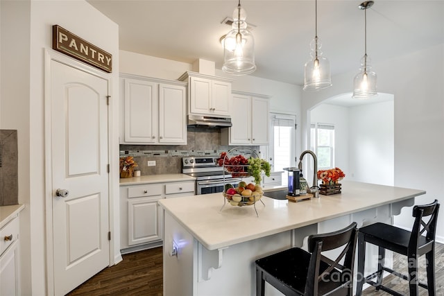 922 Bunker Trce, Rock Hill, SC 29730 - kitchen featuring stainless steel electric stove, under cabinet range hood, a breakfast bar, dark wood-style floors, and white cabinets