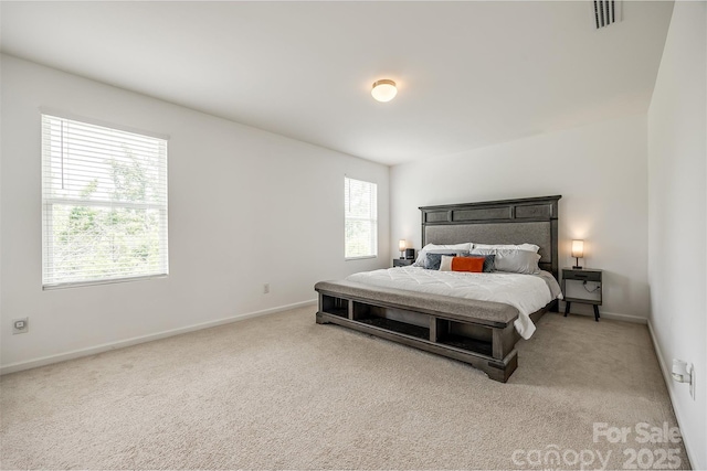922 Bunker Trce, Rock Hill, SC 29730 - carpeted bedroom with baseboards