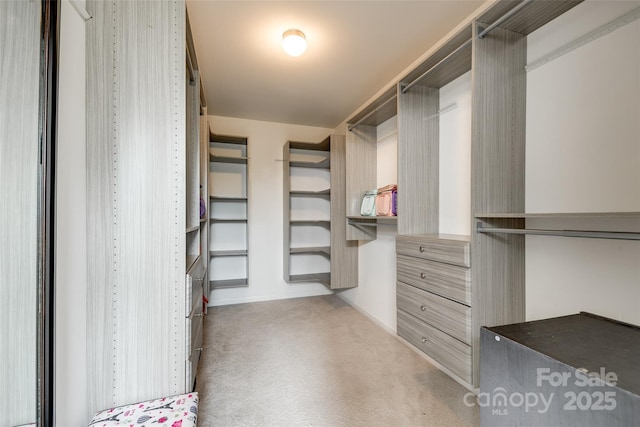 922 Bunker Trce, Rock Hill, SC 29730 - walk in closet featuring carpet