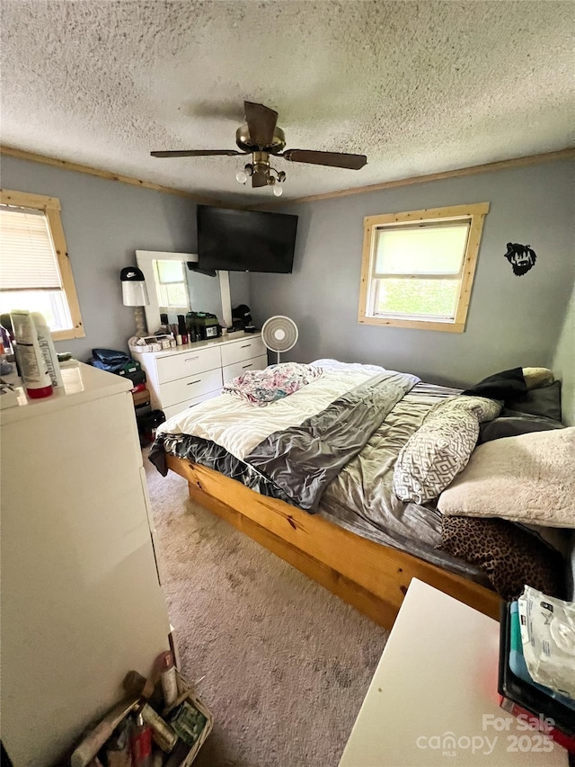99 Boone St, Spruce Pine, NC 28777 - carpeted bedroom with multiple windows, a textured ceiling, and ceiling fan