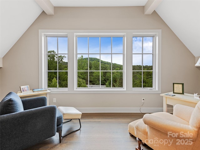 63 Chantilly Dr, Asheville, NC 28804 - sitting room with plenty of natural light, wood finished floors, and baseboards