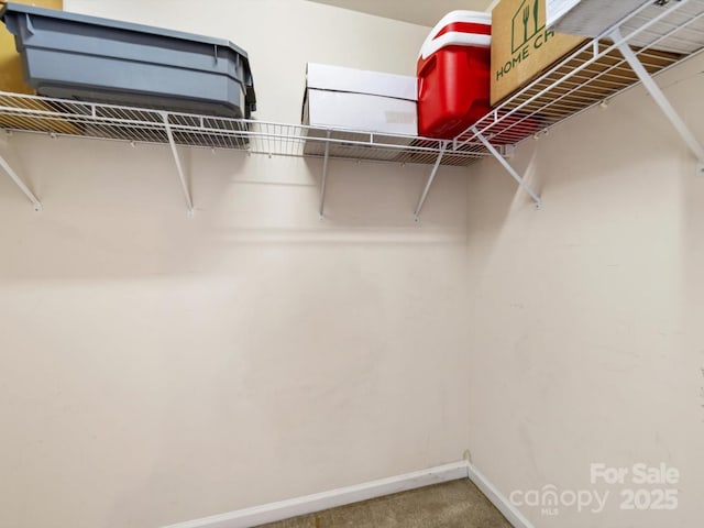 3446 Broadwick St, Charlotte, NC 28213 - spacious closet with carpet flooring