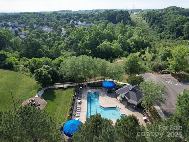 3446 Broadwick St, Charlotte, NC 28213 - drone / aerial view of a pool and a heavily wooded area