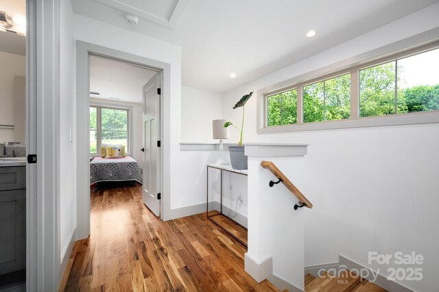 11 Middlebrook Rd, Asheville, NC 28805 - photo 22