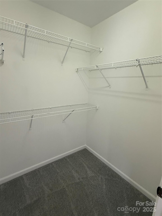 243 Lincoln St, Charlotte, NC 28203 - spacious closet featuring carpet