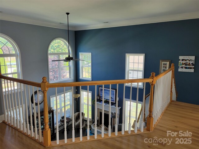 103 Doyle Farm Ln, Mooresville, NC 28115 - photo 23