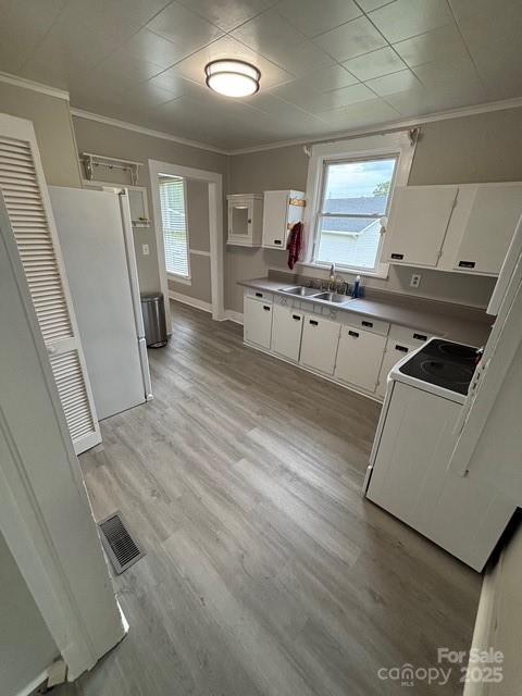 103 Duke St, Great Falls, SC 29055 - kitchen with a sink, ornamental molding, white cabinetry, healthy amount of natural light, and light wood-style flooring