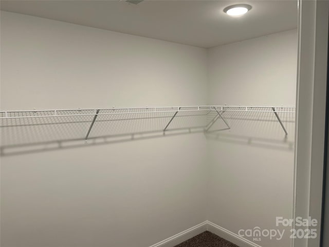 view of walk in closet