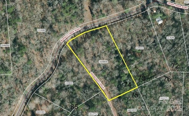 0 Buffalo Creek Rd Unit 74, Lake Lure, NC 28746