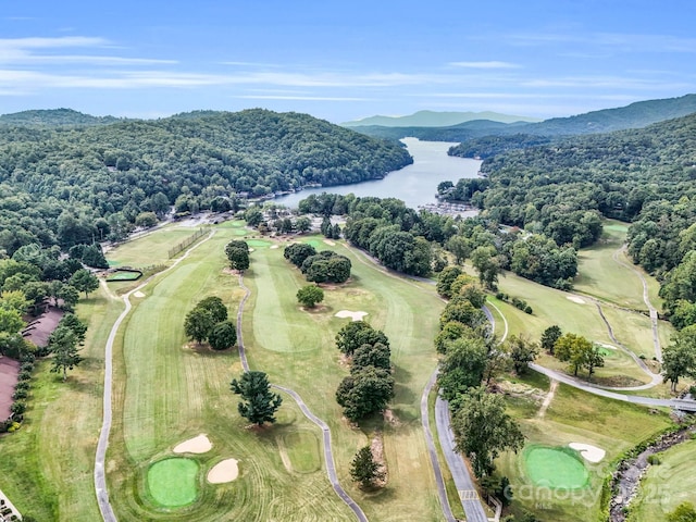 0 Buffalo Creek Rd Unit 74, Lake Lure, NC 28746