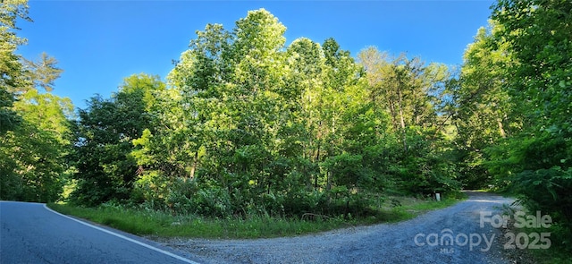 0 Buffalo Creek Rd Unit 74, Lake Lure, NC 28746