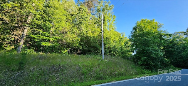 0 Buffalo Creek Rd Unit 74, Lake Lure, NC 28746