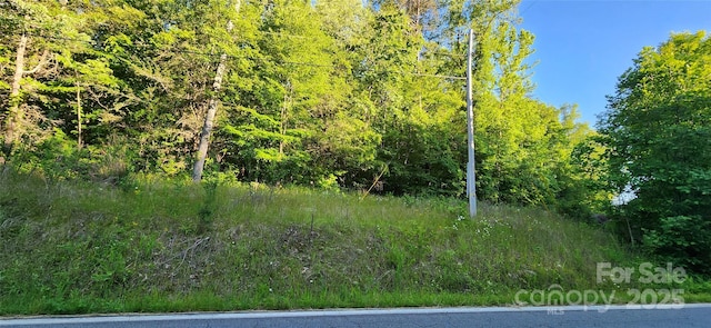 0 Buffalo Creek Rd Unit 74, Lake Lure, NC 28746