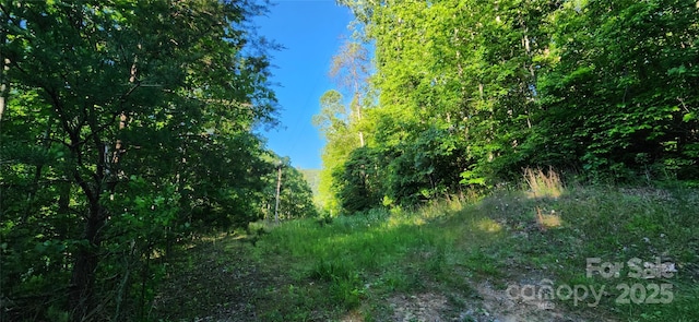 0 Buffalo Creek Rd Unit 74, Lake Lure, NC 28746