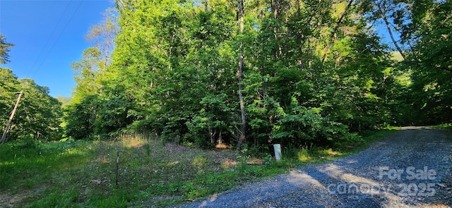0 Buffalo Creek Rd Unit 74, Lake Lure, NC 28746
