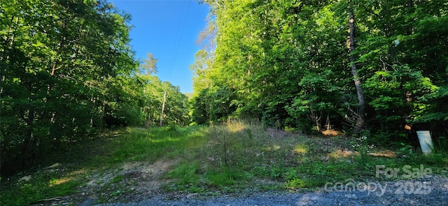 0 Buffalo Creek Rd Unit 74, Lake Lure, NC 28746