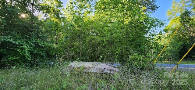0 Buffalo Creek Rd Unit 74, Lake Lure, NC 28746