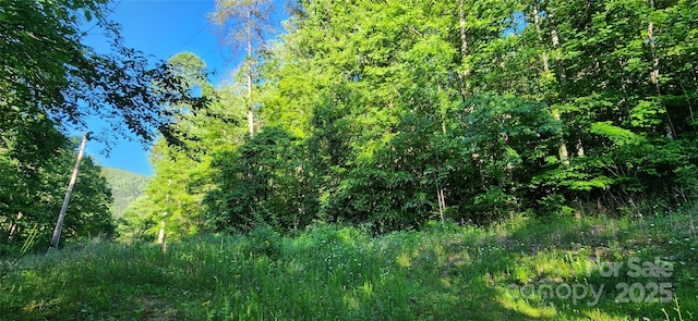 0 Buffalo Creek Rd Unit 74, Lake Lure, NC 28746