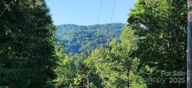 0 Buffalo Creek Rd Unit 74, Lake Lure, NC 28746