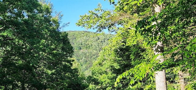 0 Buffalo Creek Rd Unit 74, Lake Lure, NC 28746