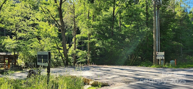 0 Buffalo Creek Rd Unit 74, Lake Lure, NC 28746