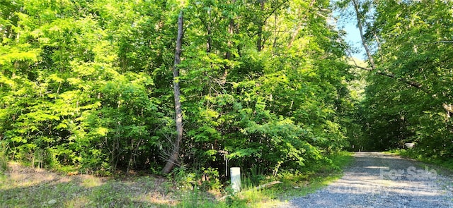 0 Buffalo Creek Rd Unit 74, Lake Lure, NC 28746