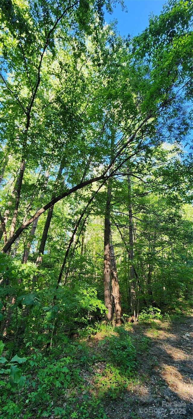 0 Buffalo Creek Rd Unit 74, Lake Lure, NC 28746