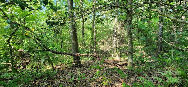 0 Buffalo Creek Rd Unit 74, Lake Lure, NC 28746