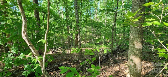0 Buffalo Creek Rd Unit 74, Lake Lure, NC 28746