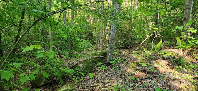 0 Buffalo Creek Rd Unit 74, Lake Lure, NC 28746