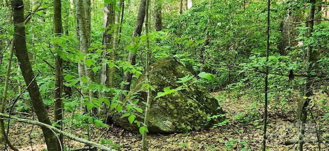 0 Buffalo Creek Rd Unit 74, Lake Lure, NC 28746