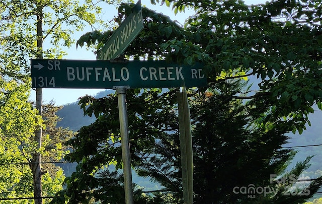 0 Buffalo Creek Rd Unit 74, Lake Lure, NC 28746