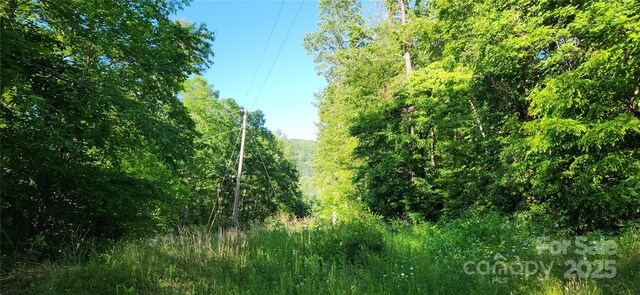 0 Buffalo Creek Rd Unit 74, Lake Lure, NC 28746