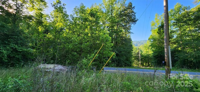 0 Buffalo Creek Rd Unit 74, Lake Lure, NC 28746