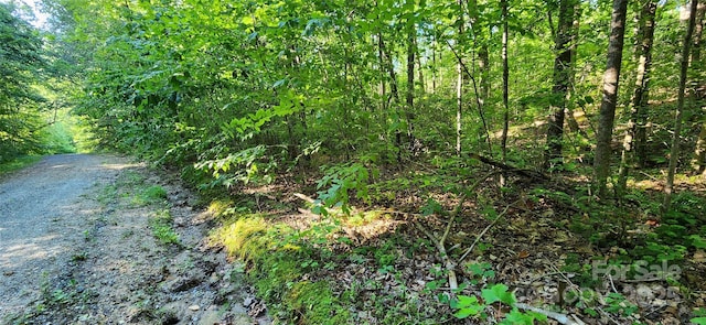 0 Buffalo Creek Rd Unit 74, Lake Lure, NC 28746