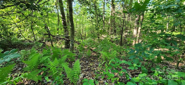 0 Buffalo Creek Rd Unit 74, Lake Lure, NC 28746