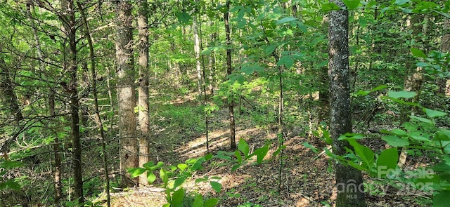 0 Buffalo Creek Rd Unit 74, Lake Lure, NC 28746