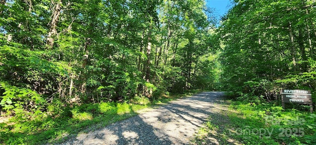 0 Buffalo Creek Rd Unit 74, Lake Lure, NC 28746