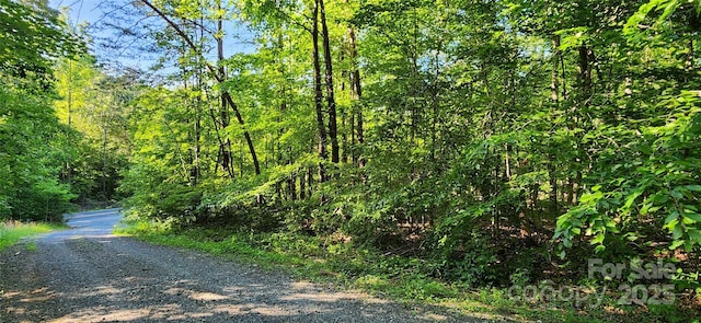 0 Buffalo Creek Rd Unit 74, Lake Lure, NC 28746
