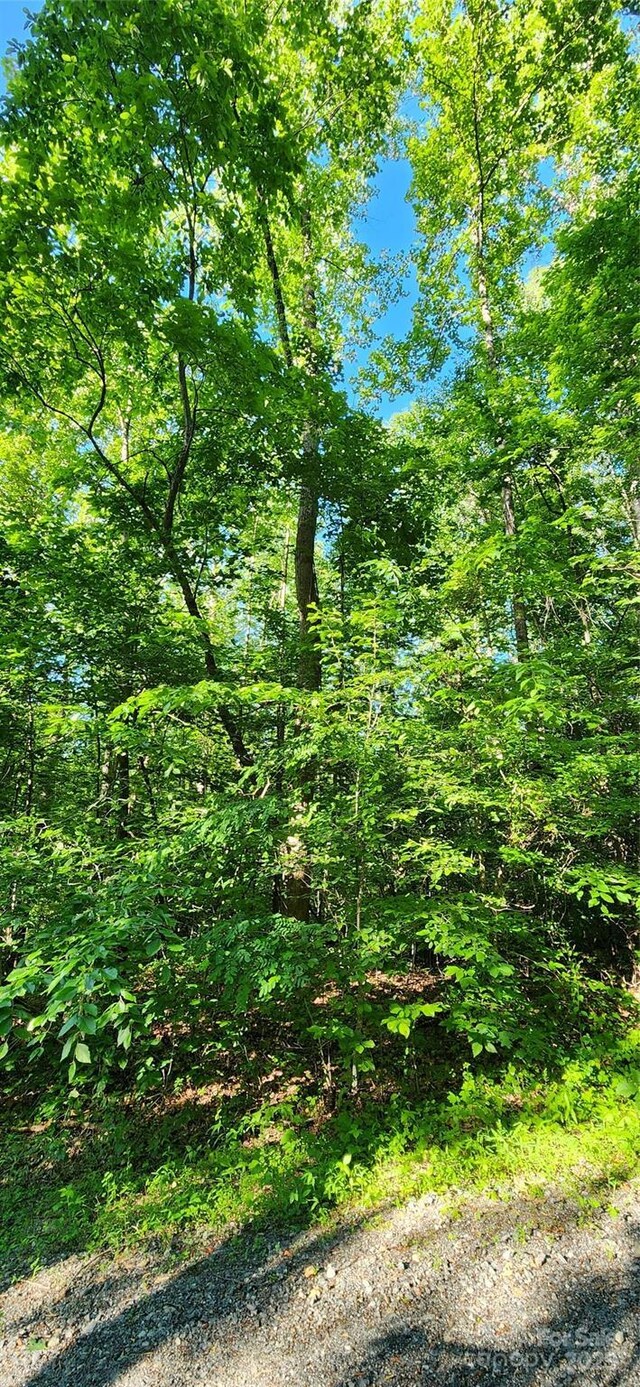 0 Buffalo Creek Rd Unit 74, Lake Lure, NC 28746