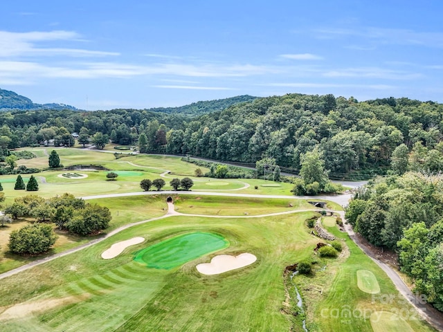 0 Buffalo Creek Rd Unit 74, Lake Lure, NC 28746