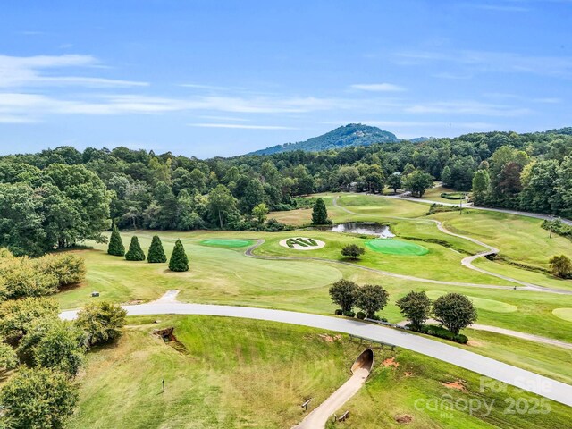 0 Buffalo Creek Rd Unit 74, Lake Lure, NC 28746