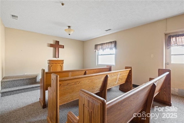 324 Horn Bottom Rd, Forest City, NC 28043 - staircase featuring carpet floors, healthy amount of natural light, and a textured ceiling
