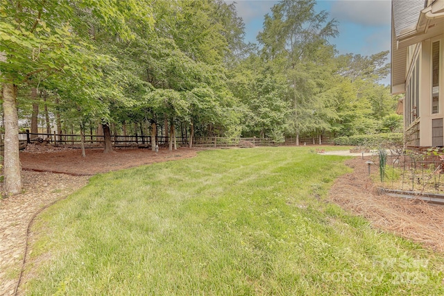 4113 Hoffmeister Dr, Waxhaw, NC 28173 - view of yard