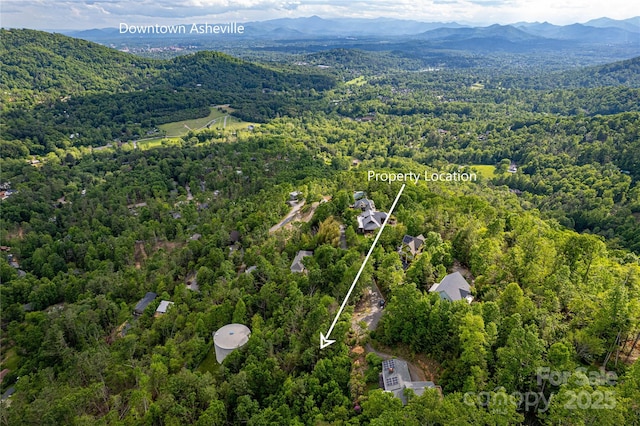 99999 Black Oak Dr Unit 13, Asheville, NC 28804 - photo 3