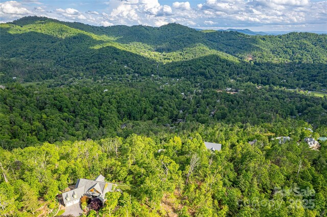 99999 Black Oak Dr Unit 13, Asheville, NC 28804 - photo 4