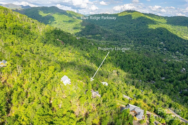 99999 Black Oak Dr Unit 13, Asheville, NC 28804 - photo 5