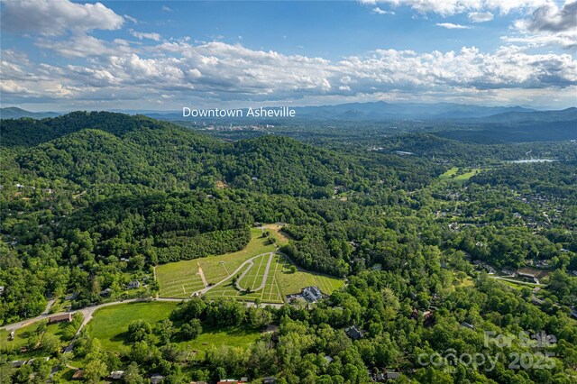99999 Black Oak Dr Unit 13, Asheville, NC 28804 - photo 6